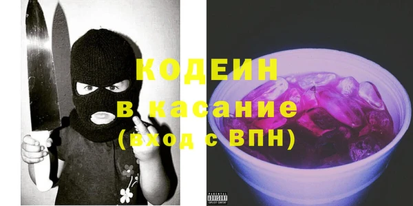 индика Балабаново