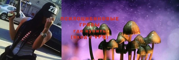 индика Балабаново