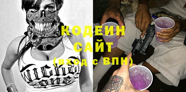 индика Балабаново