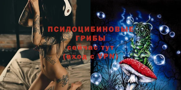 индика Балабаново