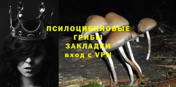 индика Балабаново