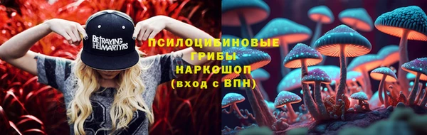 гидропоника Балахна