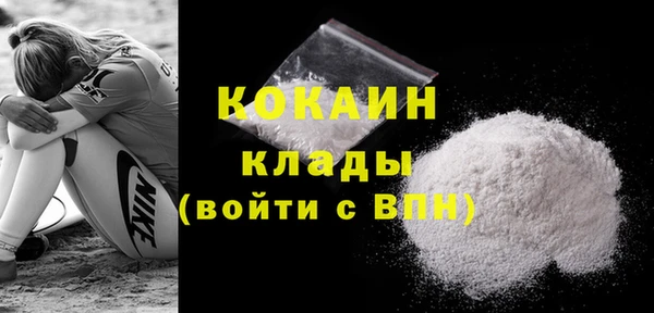 индика Балабаново