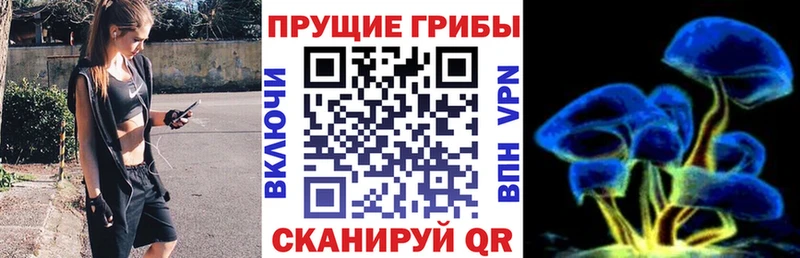 где продают наркотики  Усолье  Галлюциногенные грибы мухоморы 
